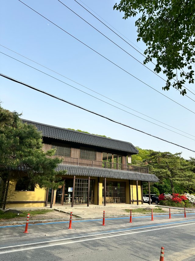 IMG_4999.jpeg