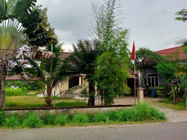 IMG20250901165013.jpg