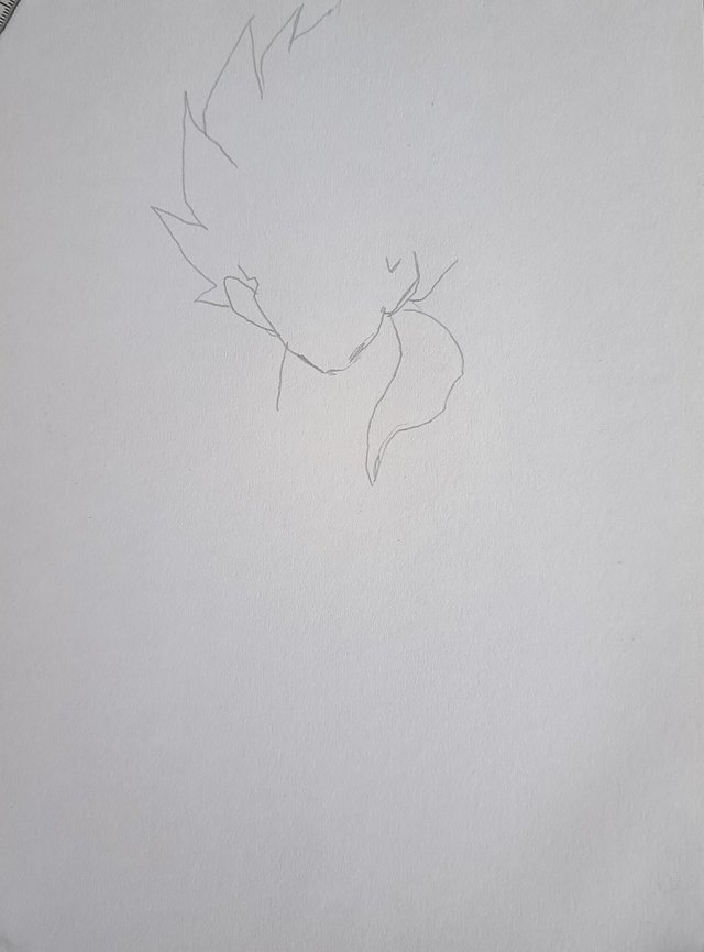 1751206682462.jpg
