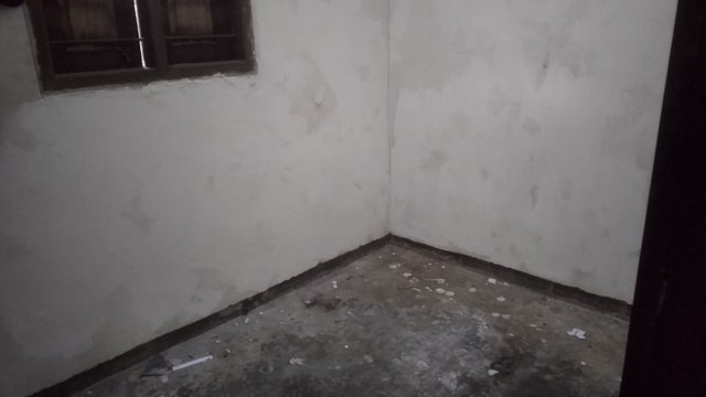 IMG_20250326_155444.jpg