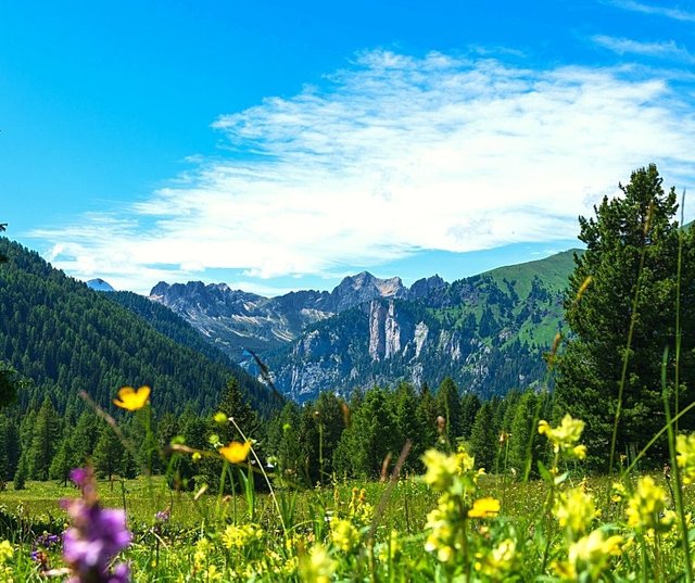 Trentino - Italia 🙏 Grazie Madre Terra.jpg