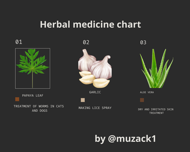 SLC S22 Week 2 - Herbs for Pets (4).png