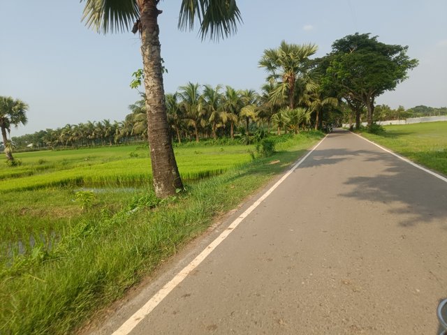 IMG20250608155519.jpg