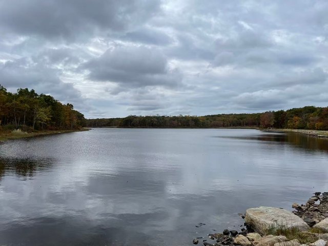 4802b4db14b98a969221