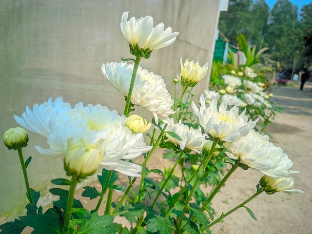 1000011642.jpg