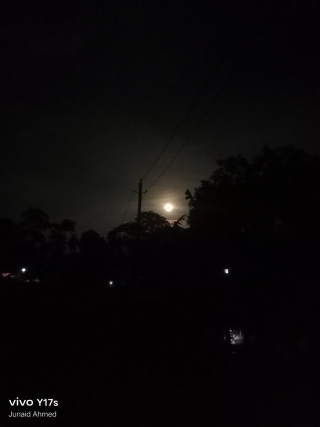 1000370733.jpg
