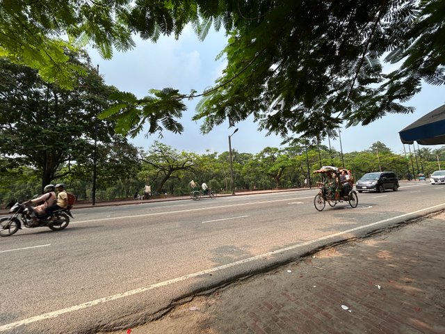 IMG_0799.jpeg
