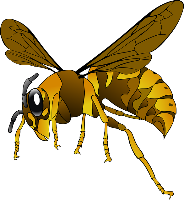 hornet-151003_640.png
