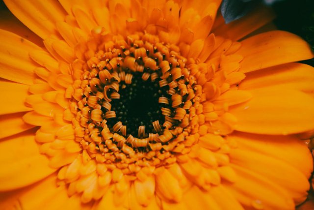 E65663BF-A237-4693-BB45-AA65FA2FA42D.jpeg