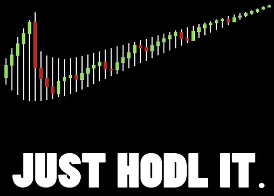 Just hodl.jpg