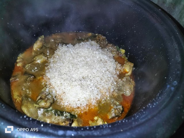 IMG20250309104119.jpg