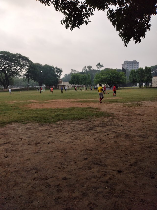 20250516_072236.jpg
