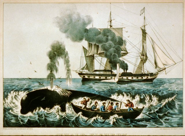 whaling.jpg