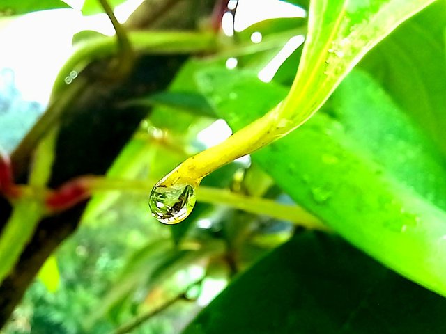 20250717_124107.jpg