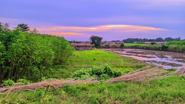 ®GcamHero_20240827_175225_🍏🌶️ Cinematic Glow- By RAJU HASAN - LMC8.4R17 - AUTO.jpg