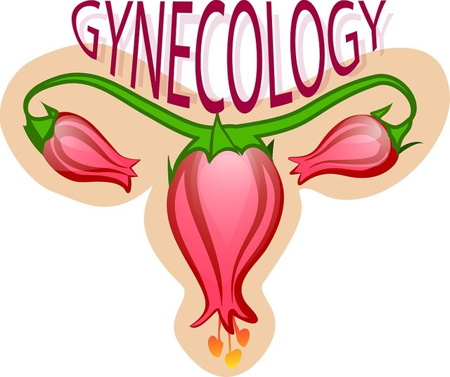 gynecology-2533145_960_720.jpg