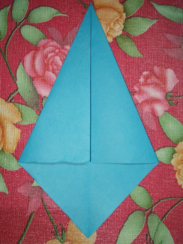 IMG20250706220253.jpg