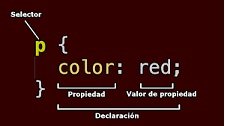 declaracion.jpg