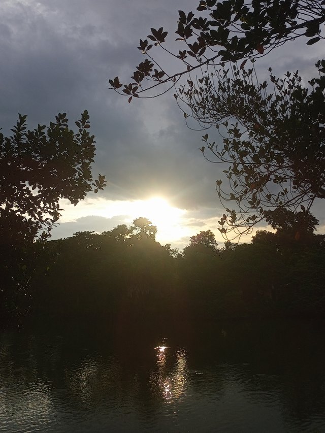 IMG20250819173334.jpg