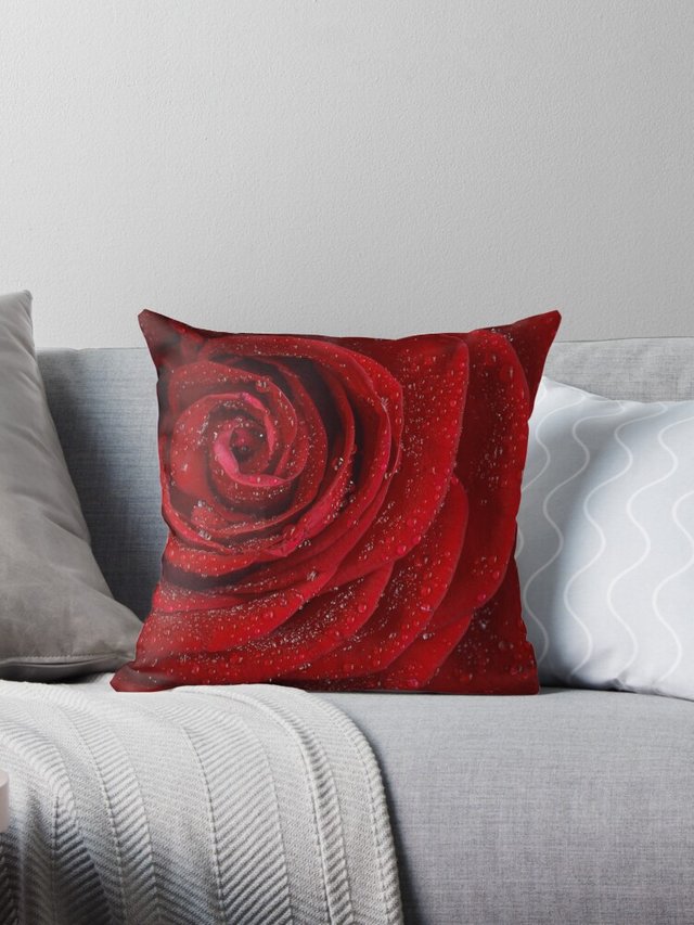 red rose-throw-pillow.jpg