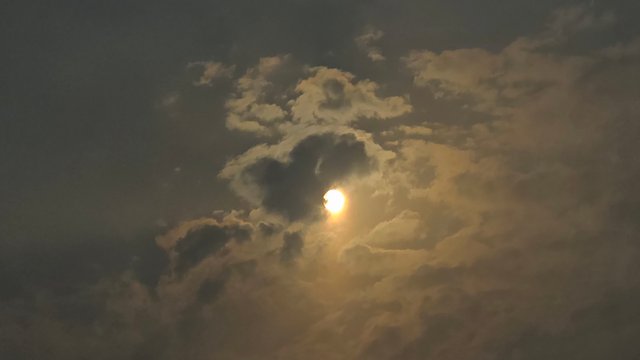 20250827_160941.jpg