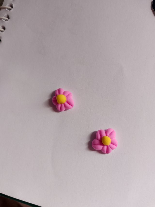 1000051066.jpg