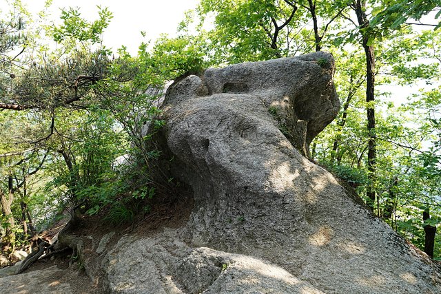 b-DSC01877.JPG