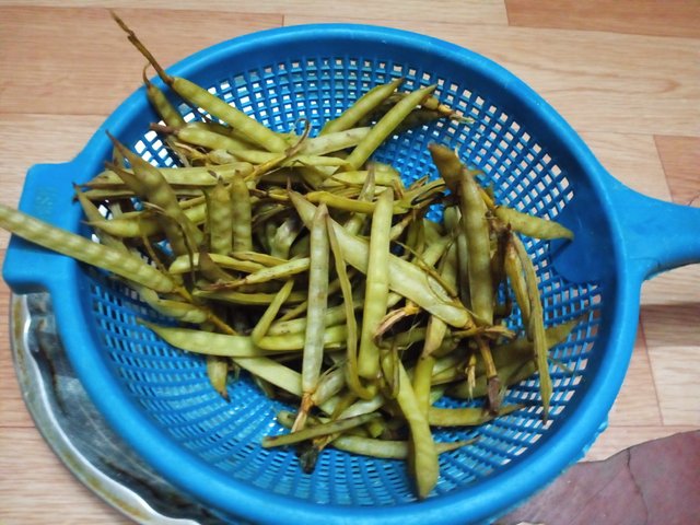 IMG20250921194434.jpg
