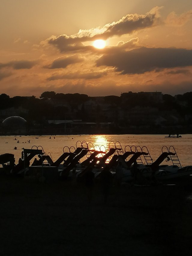 IMG_20250720_204118.jpg