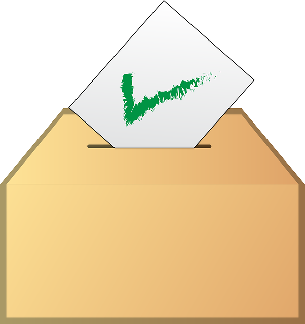 ballot-160570_640.png