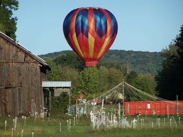 Balloon1 crop September 2019.jpg