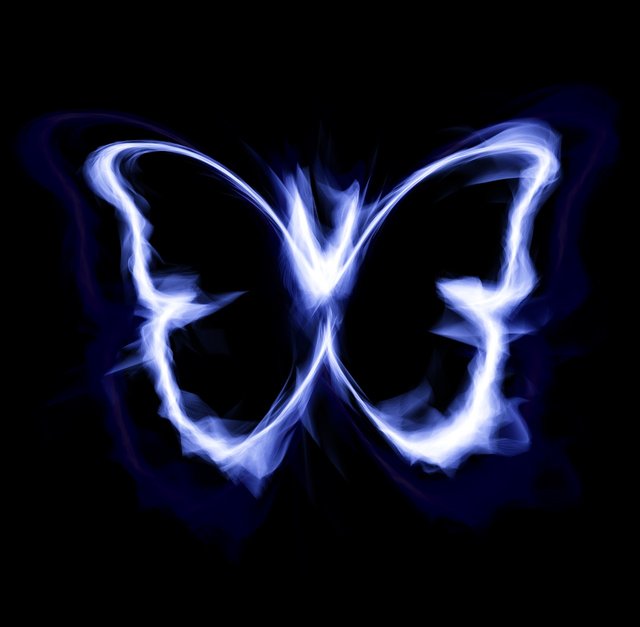 butterfly-1613341_1280.jpg