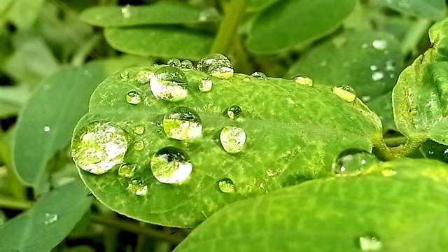 20250718_152344.jpg