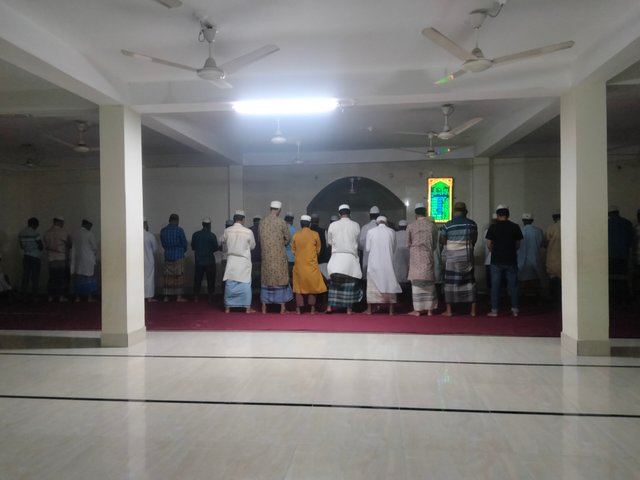 IMG20250308204547.jpg