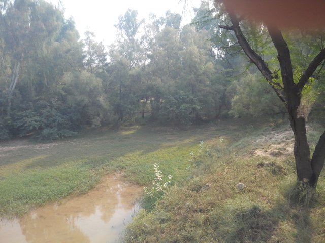 IMG_20181025_092754.jpg