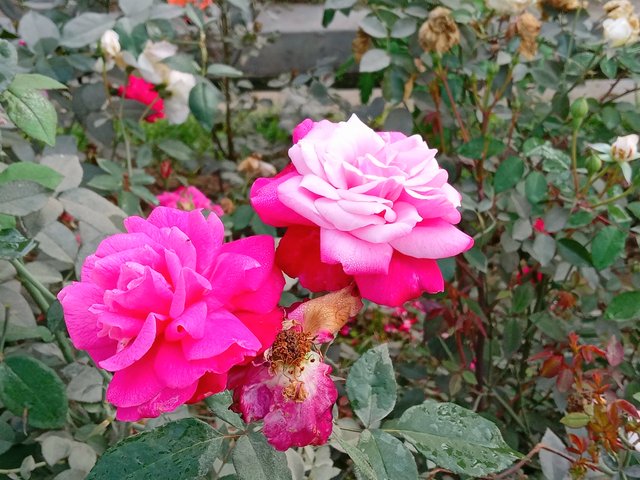 20250206_092805.jpg