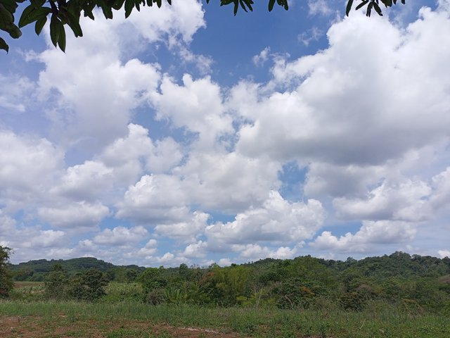 IMG_20230604_112253_690.jpg