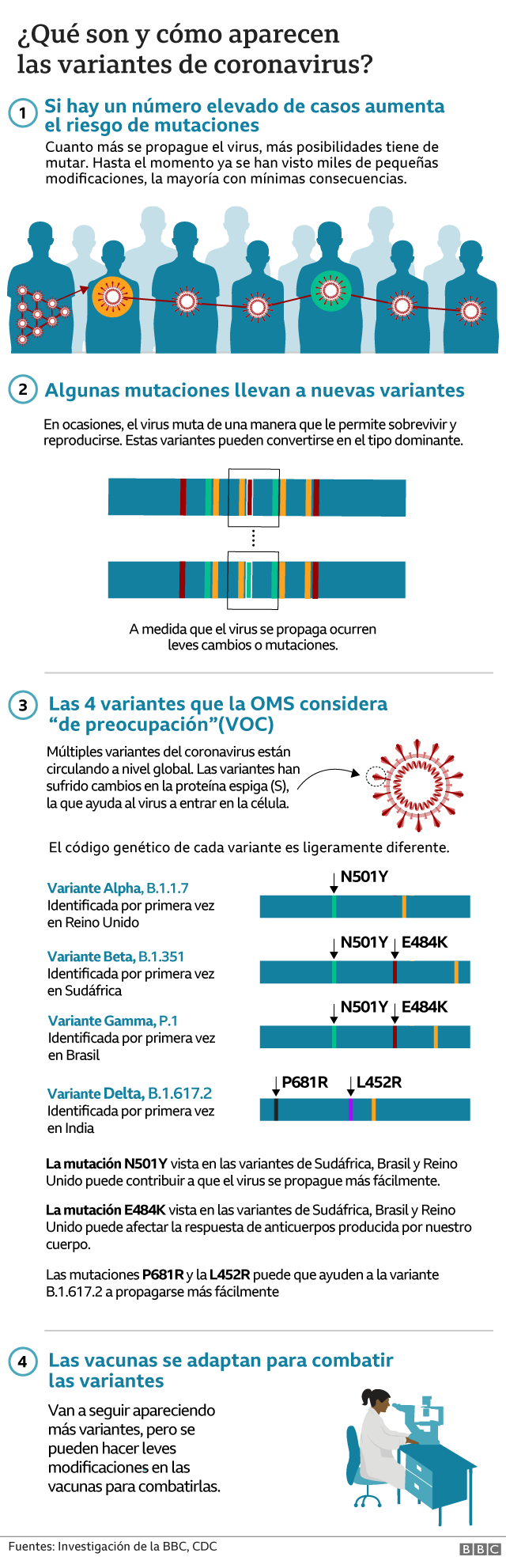 _119004525_coronavirus-variants-v4-esp-nc.png