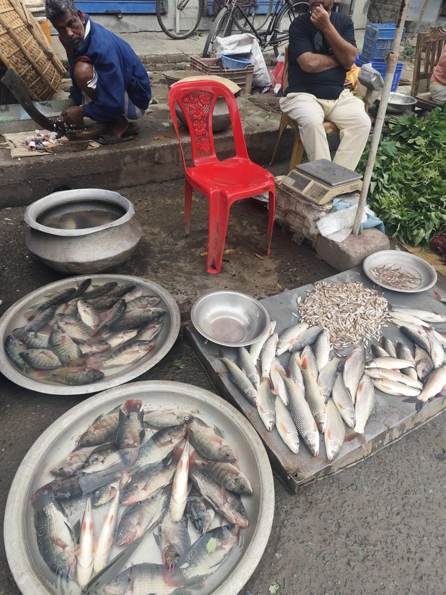  2025-03-24 at 7.48.30 PM.jpeg