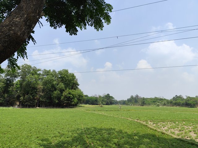 IMG_20250330_115852.jpg