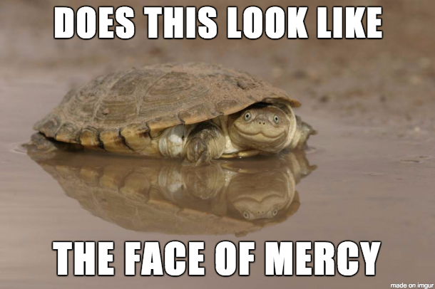 wFMwwRZ.png