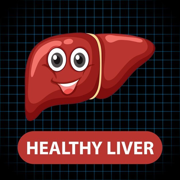 healthy-liver-cartoon-character_1308-90629.jpg