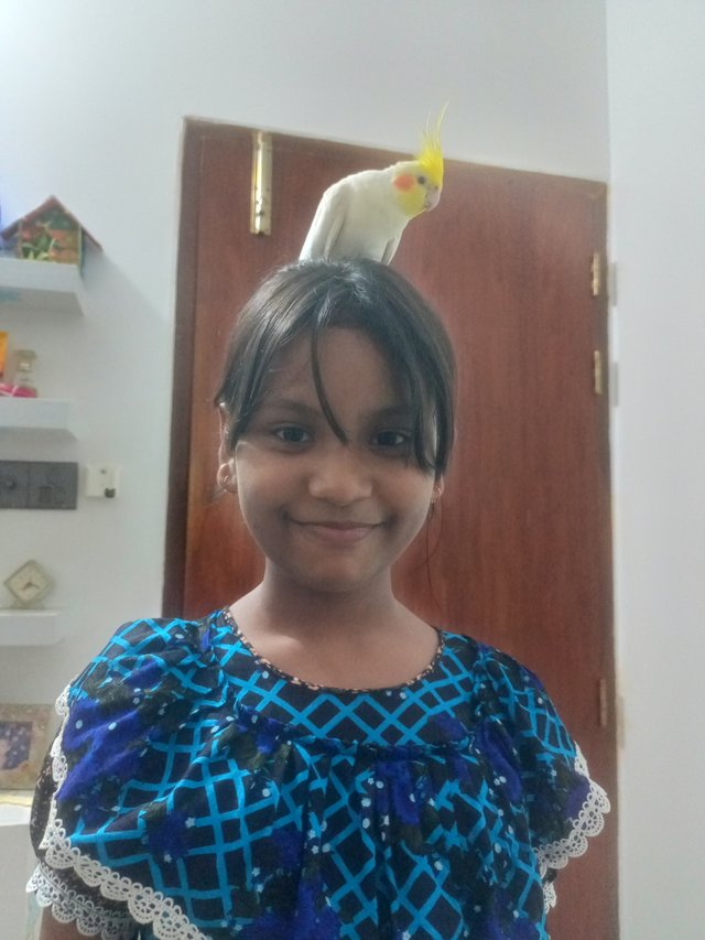 IMG20250725203257.jpg