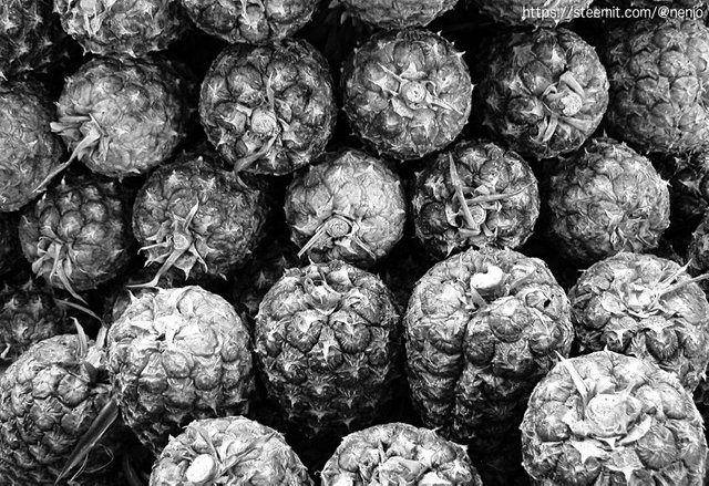 piñas02-bw.jpg