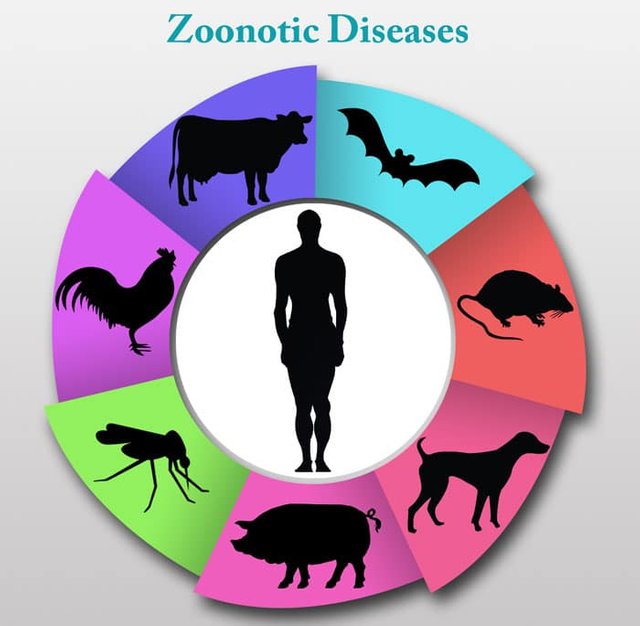 Zoonotic-Diseases.jpg