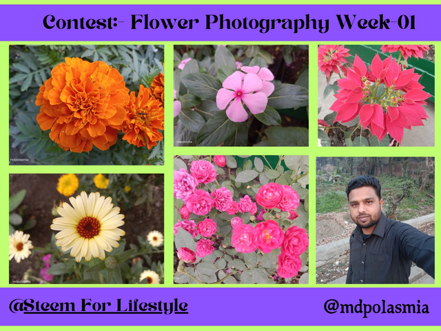 Contest_- Flower Photography Week-01_20250204_122631_0000.png