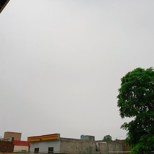 1000017916.jpg