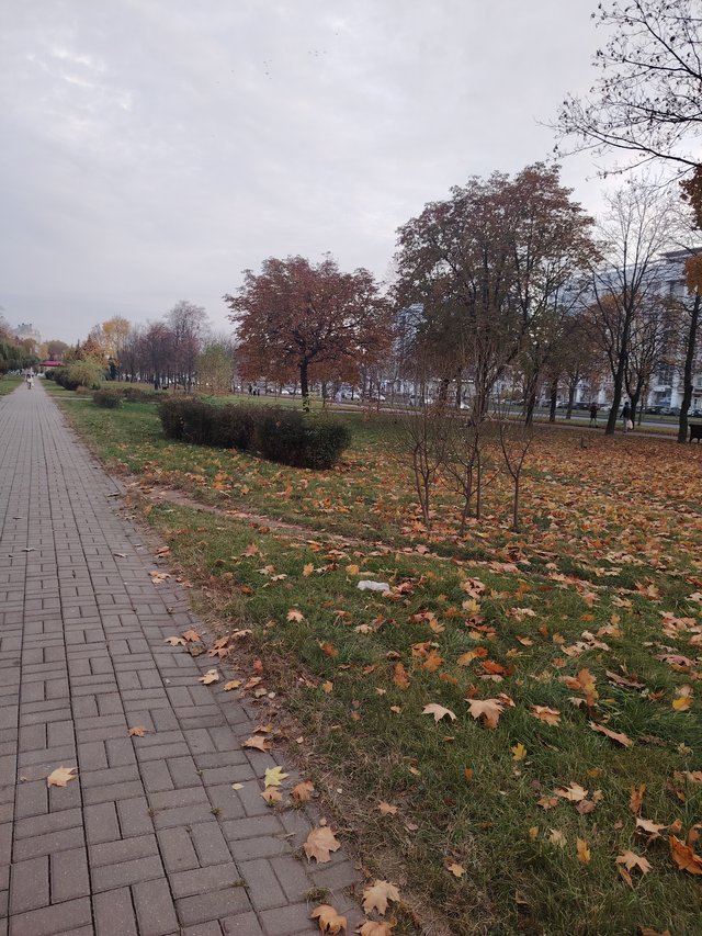 1000016789.jpg