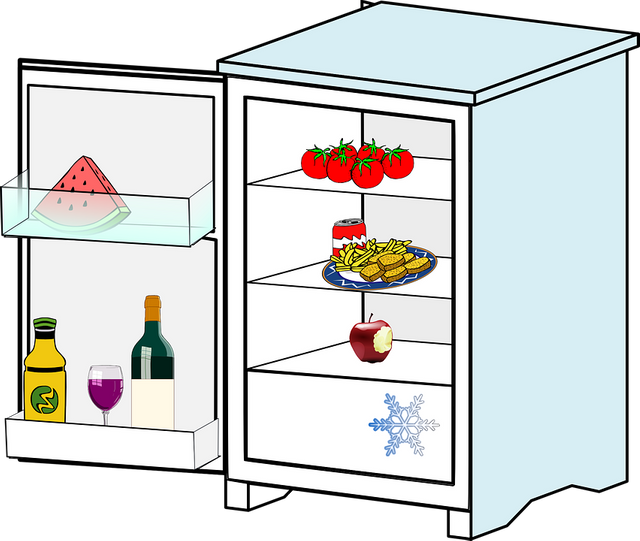 refrigerator-37099_960_720.png