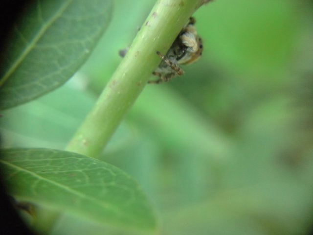 20180605_155706.jpg